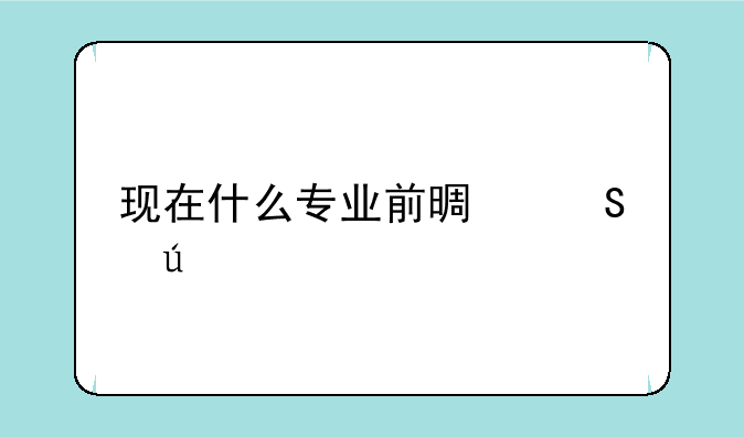 现在什么专业前景比较好