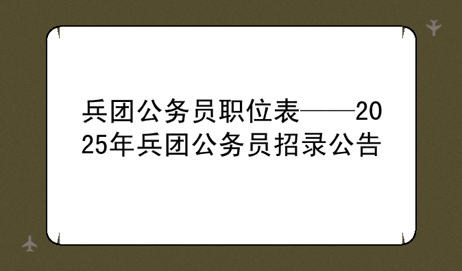 兵团公务员职位表——2025年兵团公务员招录公告